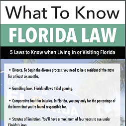florida laws infographic
