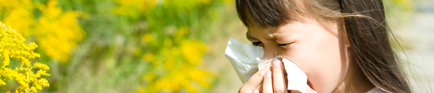 allergy proof home mark guralnick